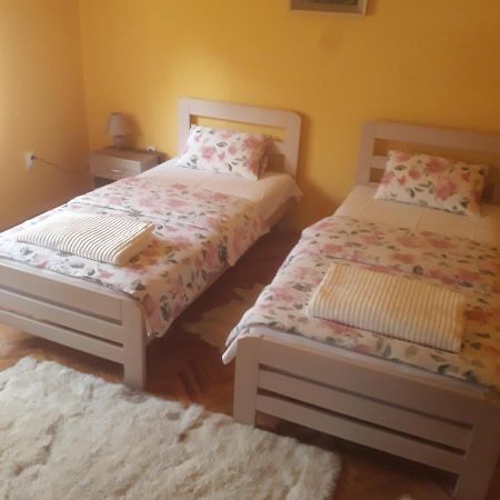 Apartman "Dom Stankovica" Pirot Extérieur photo