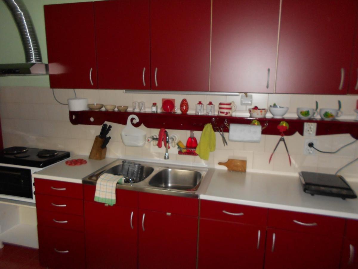 Apartman "Dom Stankovica" Pirot Extérieur photo