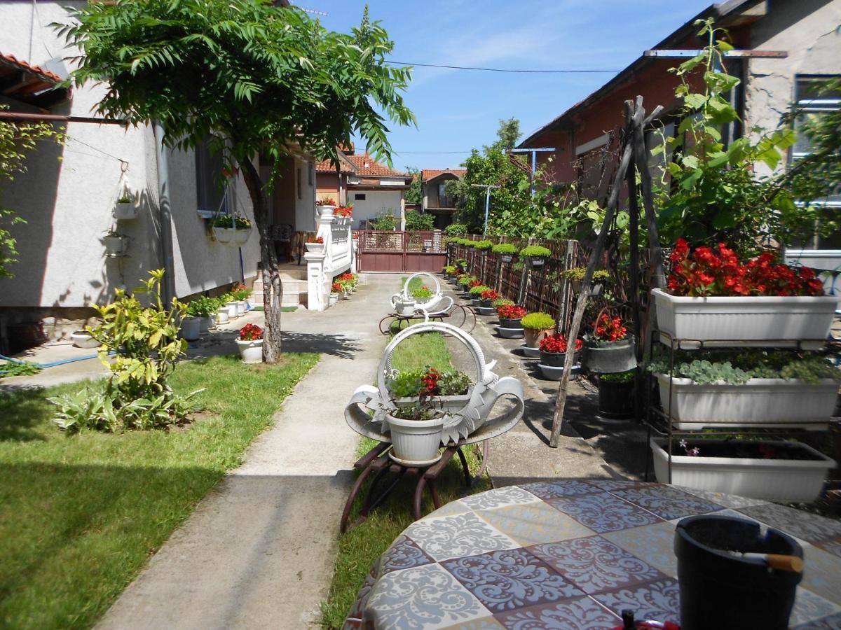 Apartman "Dom Stankovica" Pirot Extérieur photo