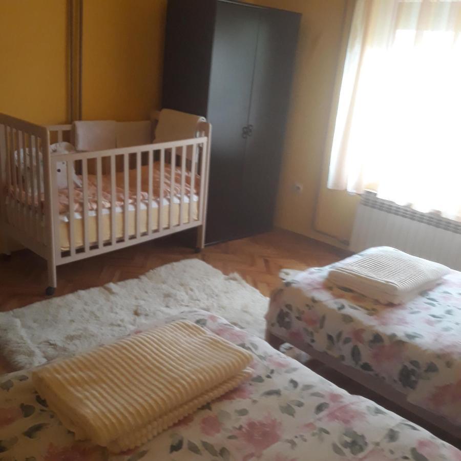 Apartman "Dom Stankovica" Pirot Extérieur photo