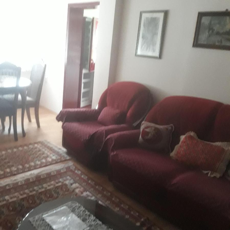 Apartman "Dom Stankovica" Pirot Extérieur photo