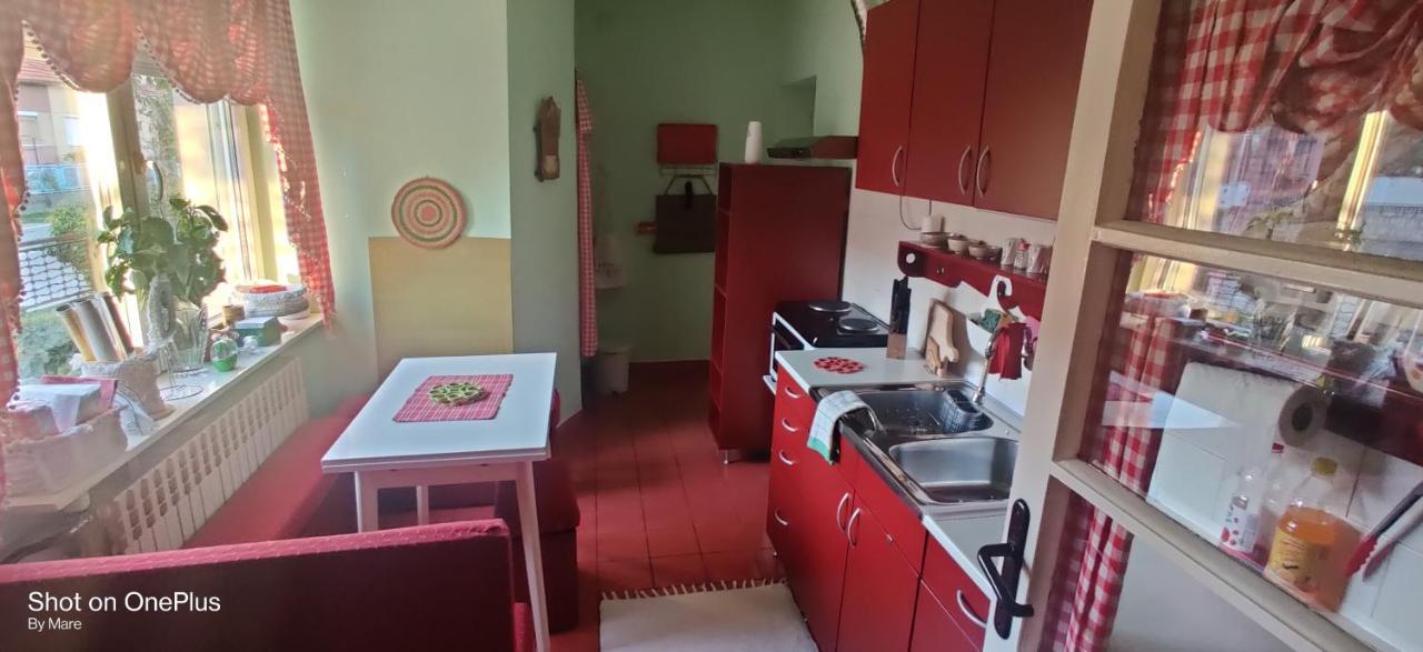 Apartman "Dom Stankovica" Pirot Extérieur photo