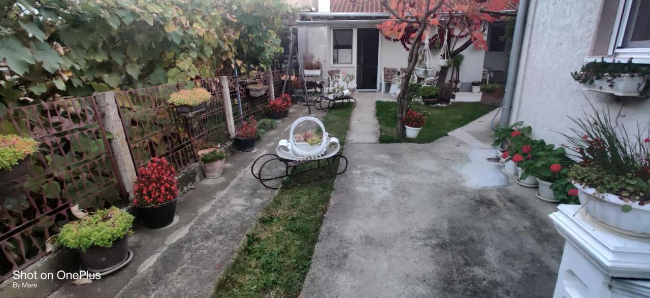 Apartman "Dom Stankovica" Pirot Extérieur photo