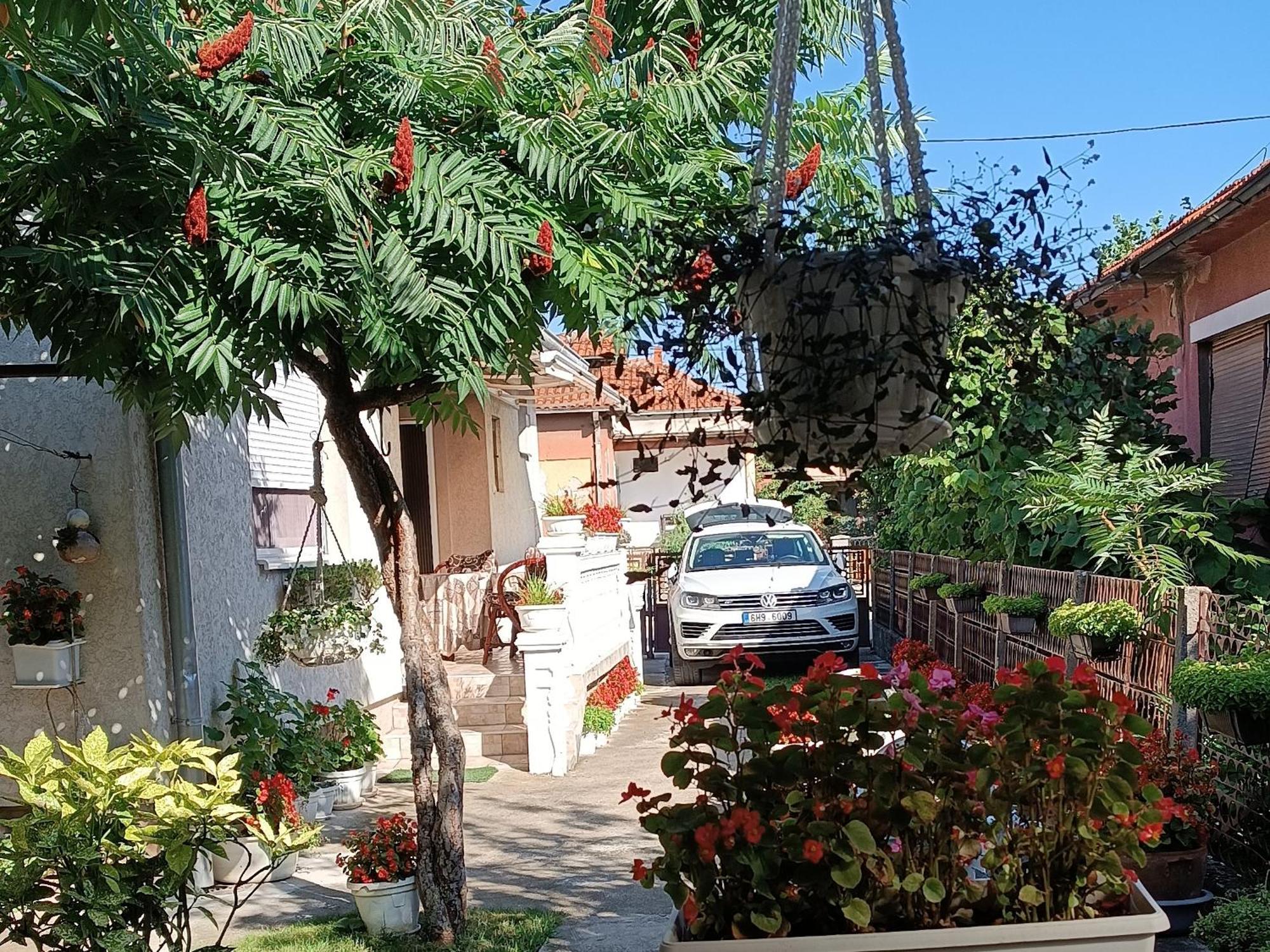 Apartman "Dom Stankovica" Pirot Extérieur photo